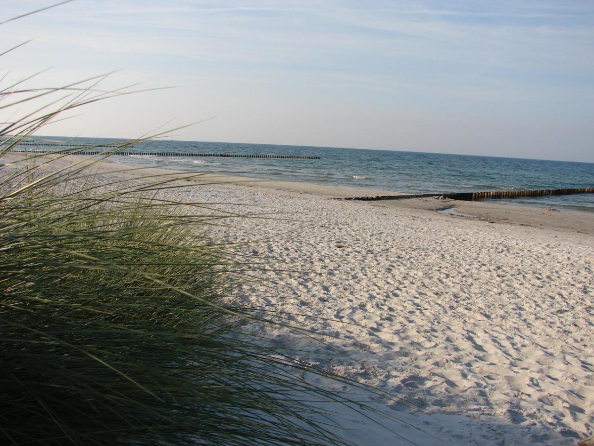Hausnora - Zingst Leilighet Eksteriør bilde